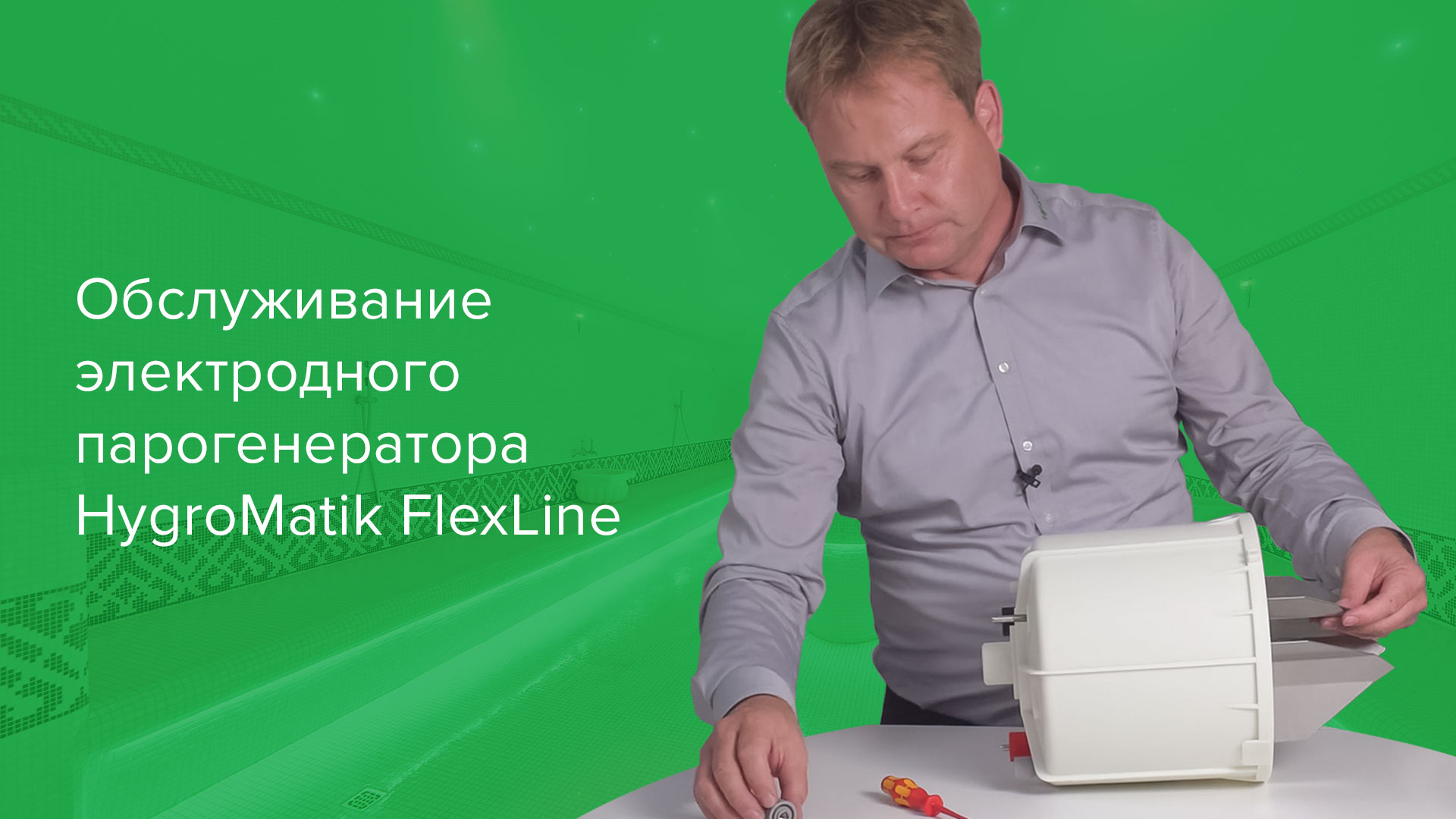 Обслуживание электродного парогенератора FlexLine